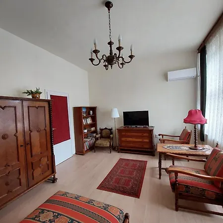 Bright, Spacious Classic In The Center Διαμέρισμα Βουδαπέστη