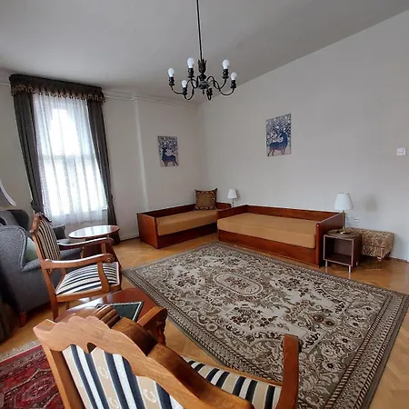 公寓 Bright, Spacious Classic In The Center