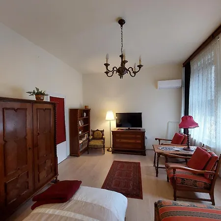 Bright, Spacious Classic In The Center 布达佩斯